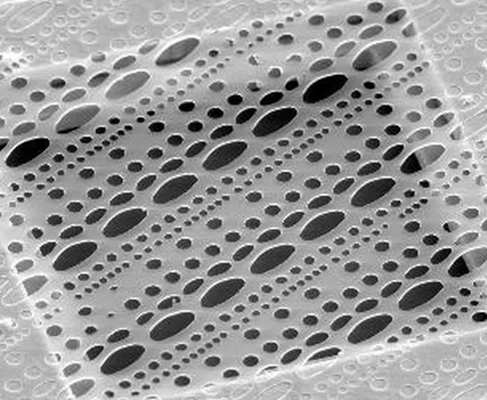 QUANTIFOIL-multiA