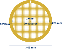 grid-dimensions