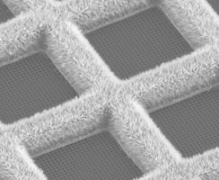 Our Range of Grids | Quantifoil