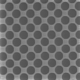 quantifoil circular r35-1_sem-crop