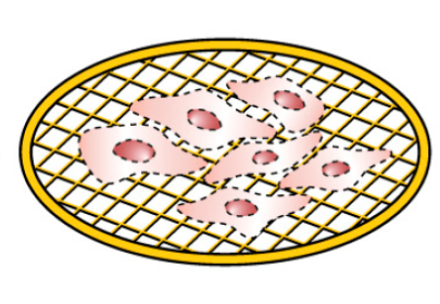 cells on grid